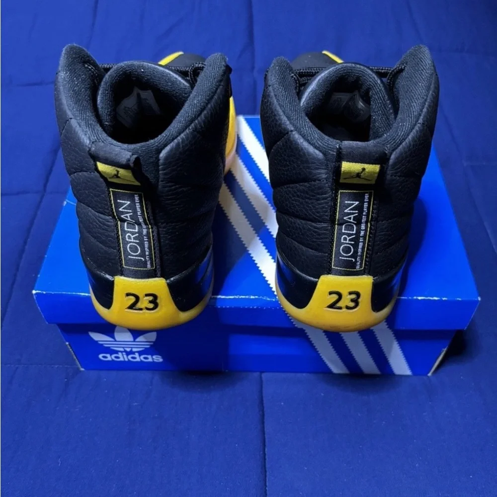 Jordan 12 Retro University Gold 2020 Size 10.5